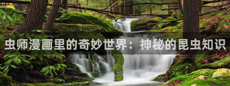 好漫漫漫画页面免费漫画在线看漫