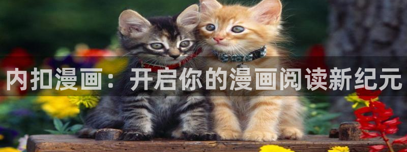 漫漫漫漫画免费阅读入口